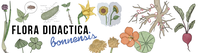 header_flora_didactica.png