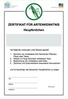 Artenkenntniszertifikat - das Heupferdchen Urkunde