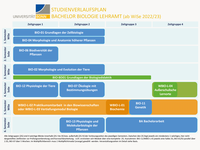 Modulplan Biologie Lehramt Bachelor