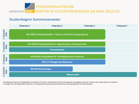 Studieverlaufsplan Master Bio Lehramt bei Start im Sommersemester