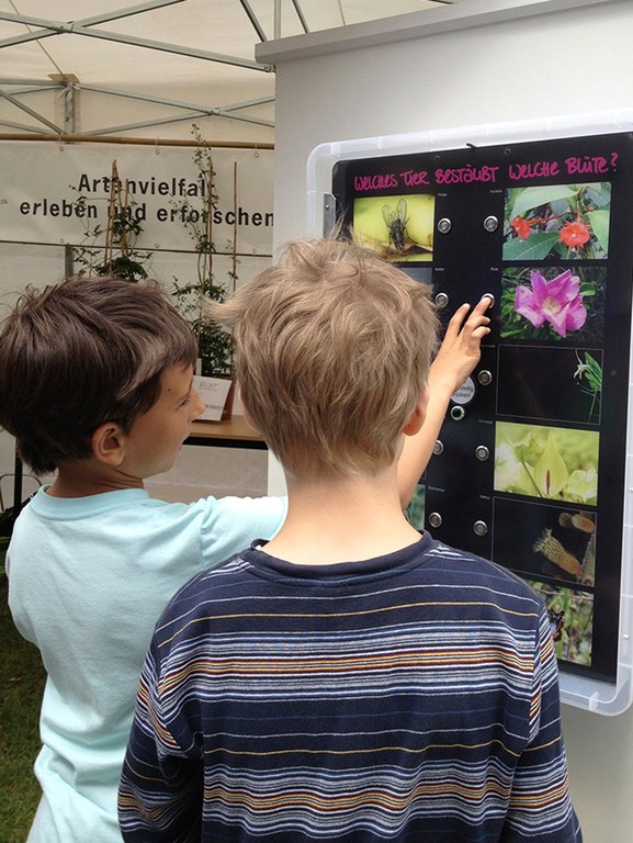 Informationsstand beim UN-Tag der Artenvielfalt im Botanischen Garten