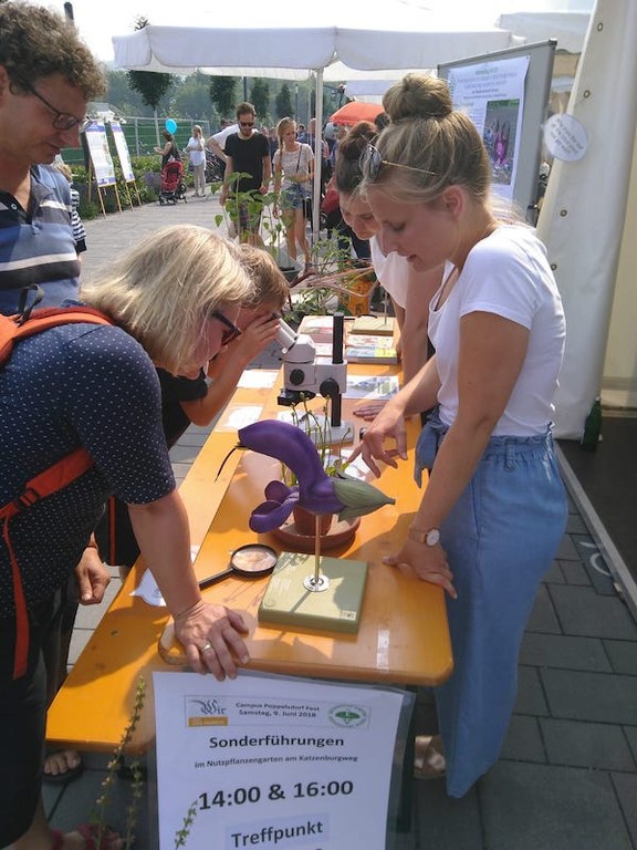 Sommerfest auf dem Campus Poppelsdorf