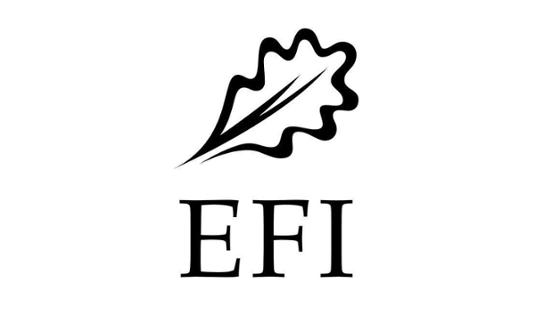 EFI